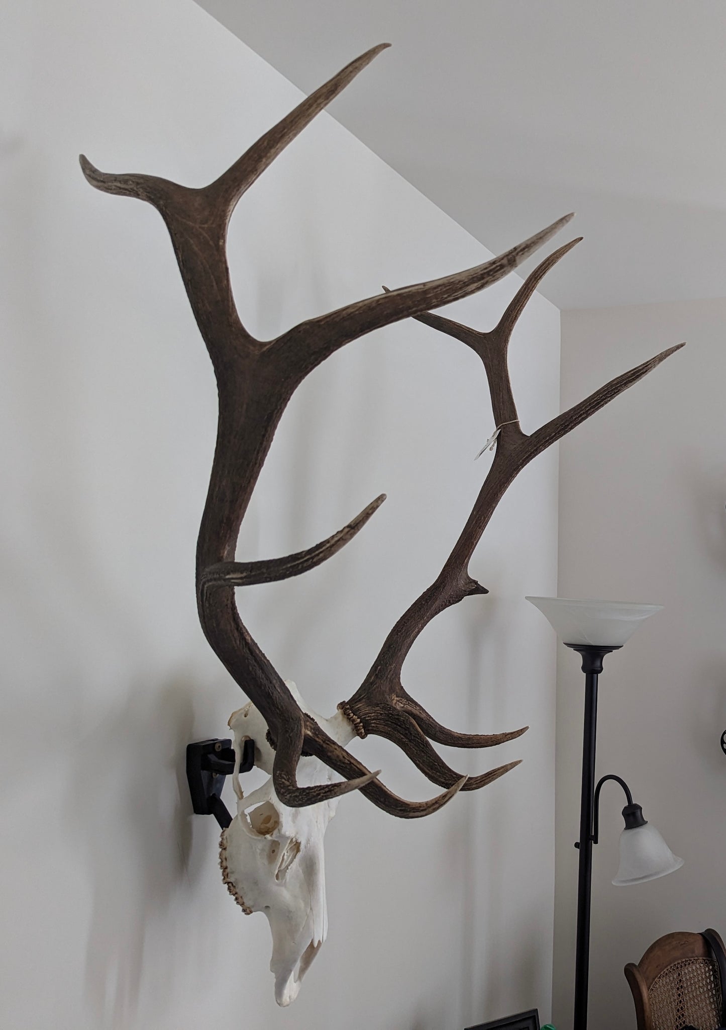 Customer returned hangers will preform like new