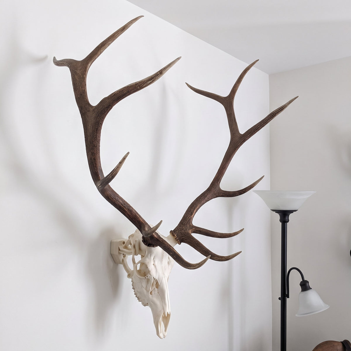 Raging Bull: Elk