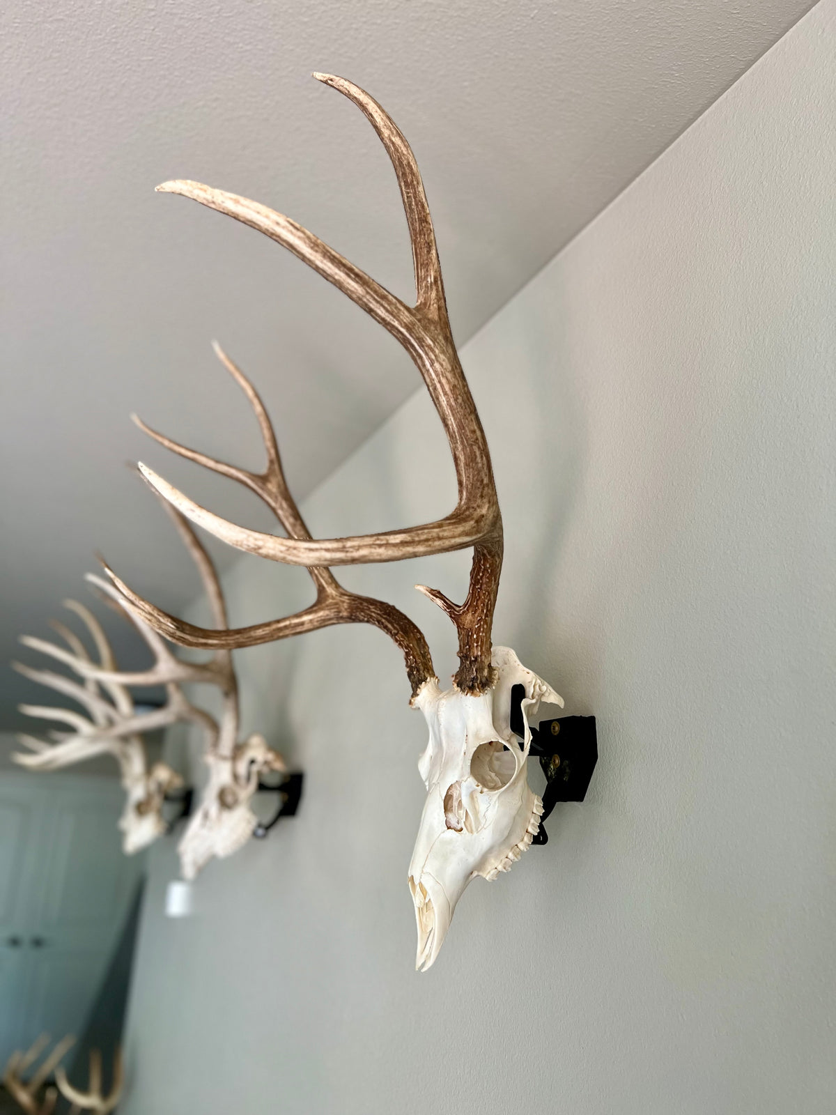 Customer returned hangers will preform like new