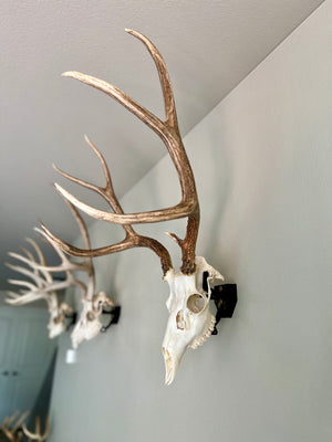 Customer returned hangers will preform like new