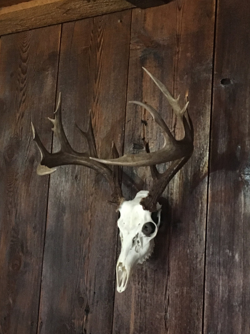 The Mount You Don't See